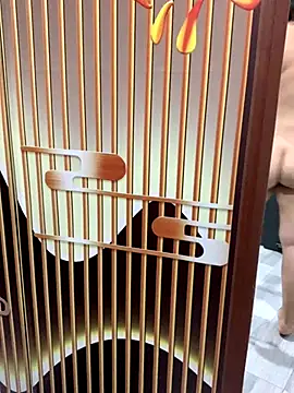 yang-2269 online show from 11-21-25, 08:51