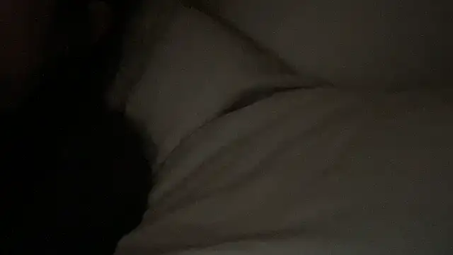 dddasani online show from 01-17-26, 04:33