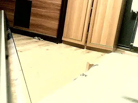 Snapshot of KissMeAss9387 chatting on 09-28-25, 07:08 KissMeAss9387 online show from 09-28-25, 07:08