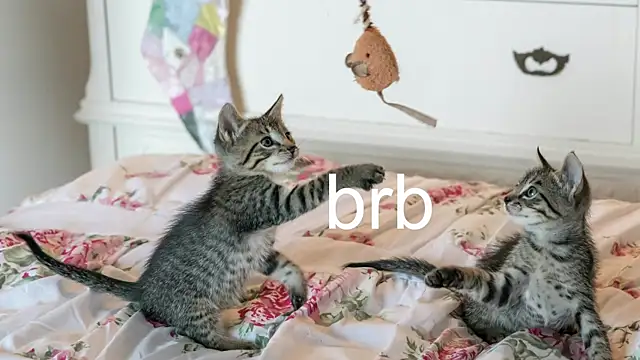 Pink girl0n online show from 11-22-25, 03:27