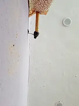 Snapshot of funcreat chatting on 09-11-25, 11:54 funcreat online show from 09-11-25, 11:54