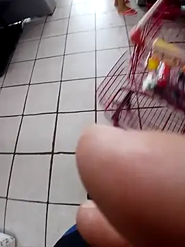 cicinha3657 online show from 02-20-26, 06:30