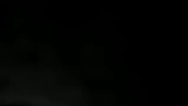 WILD FIREE  online show from 12-02-25, 08:15