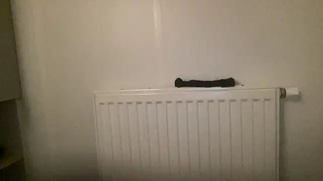 peterpapiNL online show from 01-13-26, 04:34