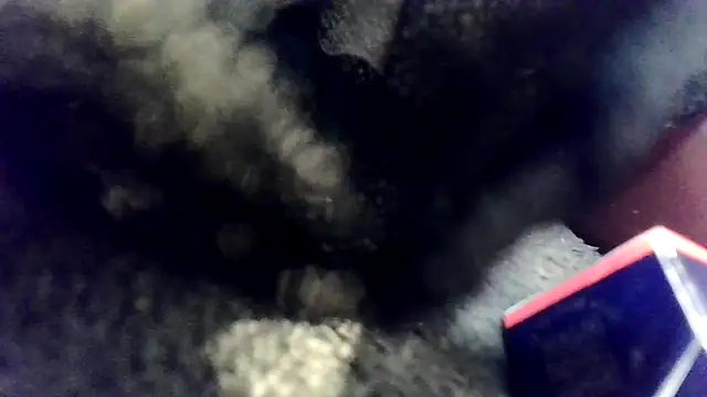 Evieskyyxh online show from 11-26-25, 10:49