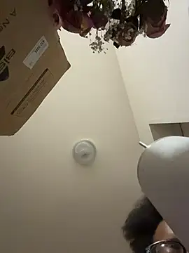 Tu GataLinda online show from 11-19-25, 09:26