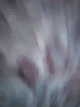 Aliyeni1 online show from 04-17-26, 12:08