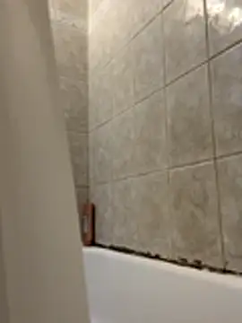 1mistaGoodWood online show from 11-30-25, 01:26