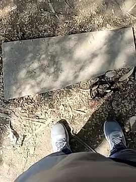 indian pavi online show from 01-19-26, 05:55