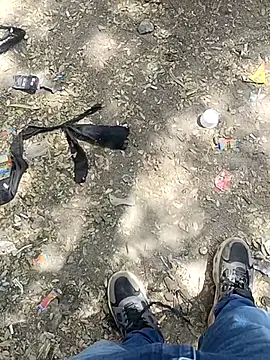 indian pavi online show from 02-03-26, 07:24