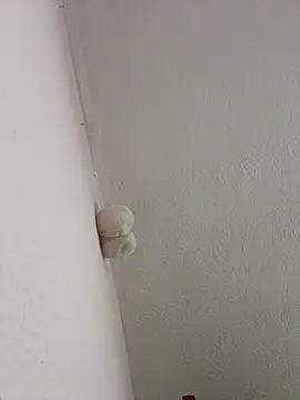 saranghae  online show from 03-02-26, 03:09