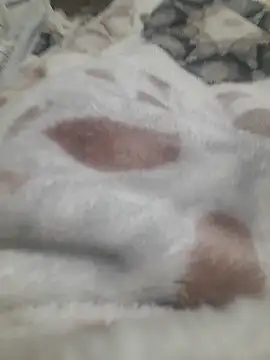 ratoncito 3 online show from 01-16-26, 05:50