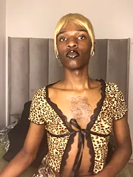 Trans fairy online show from 10-25-25, 07:30