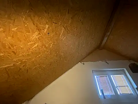 Salon1986 online show from 11-07-25, 03:01