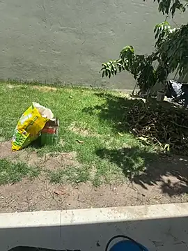 XUCRUTES42 online show from 02-07-26, 03:27