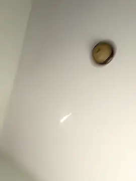 lilcubangoddess online show from 10-28-25, 02:31