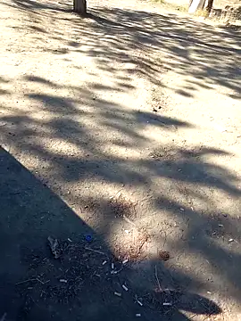 bullut06 online show from 09-23-25, 06:38