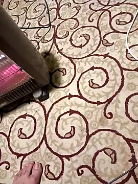 bullut06 online show from 04-08-26, 05:46