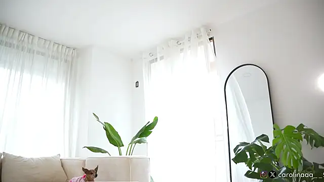 Snapshot of Carolart_ chatting on 05-16-26, 07:56 Carolart online show from 05-16-26, 07:56