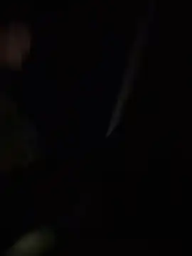 Daliz online show from 06-19-26, 03:11