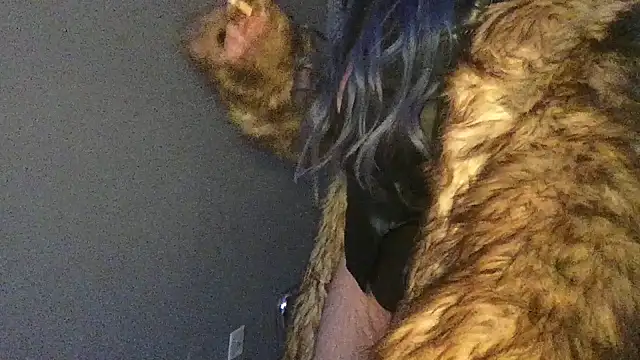 Snapshot of Stevey5894 chatting on 11-30-25, 05:28 Stevey5894 online show from 11-30-25, 05:28