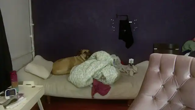 turkishTransEfsun online show from 11-03-25, 10:05