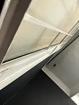 Emily Rivers  online show from 01-14-26, 01:17