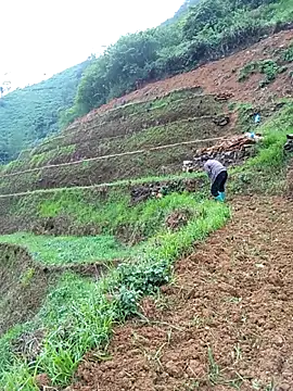 Mpchaola online show from 05-08-26, 10:42