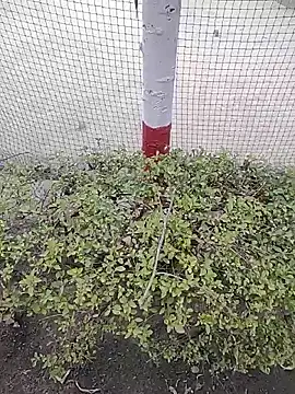 monty935 online show from 12-04-25, 11:41