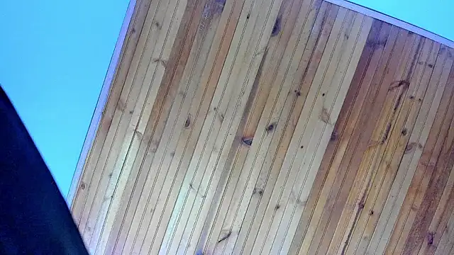 Angel kanon online show from 02-28-26, 12:28