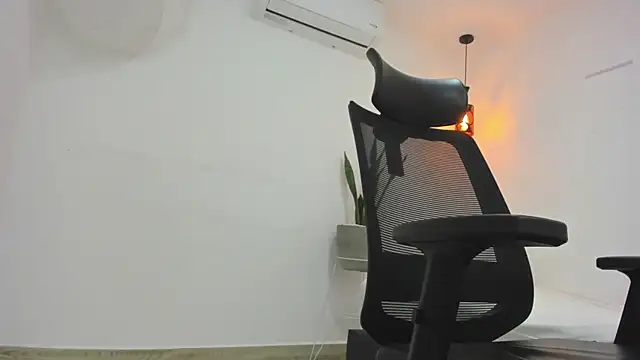 damian bull online show from 11-01-25, 08:33