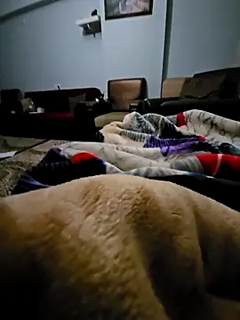 Snapshot of fena-sikerimmm chatting on 02-21-26, 02:45 fena-sikerimmm online show from 02-21-26, 02:45