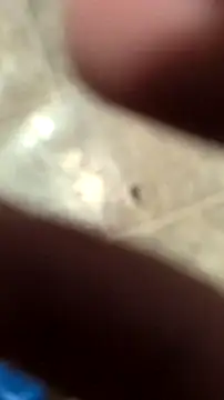 DecimalPoint222InchCock online show from 11-10-25, 11:15