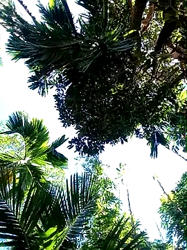 Johlrd online show from 11-19-25, 05:18