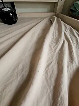 Snapshot of Stingles chatting on 10-04-25, 01:42 Stingles online show from 10-04-25, 01:42