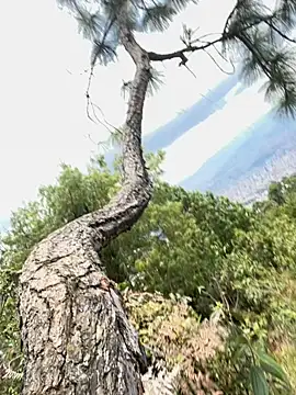 Snapshot of Alexis_Spicter chatting on 09-16-25, 05:03 Alexis Spicter online show from 09-16-25, 05:03