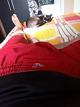 comobucetinhas online show from 11-14-25, 07:34