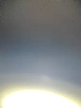 Yamamoto-Sado online show from 11-12-25, 09:03