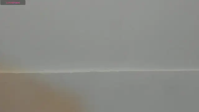 VioletRose as online show from 02-11-26, 08:03