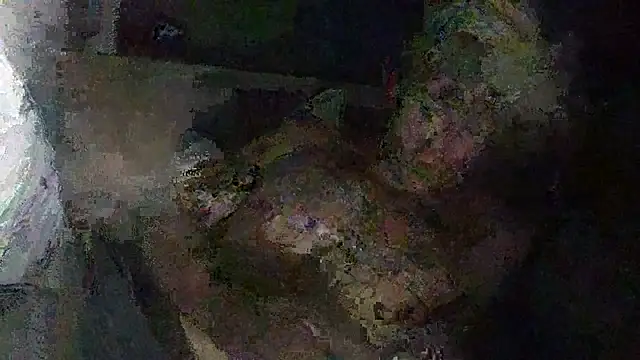 IsAparty online show from 10-11-25, 05:28