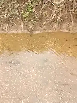 CoMay003 online show from 03-12-26, 05:35