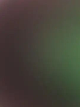 high3ndlowlife online show from 02-17-26, 07:31