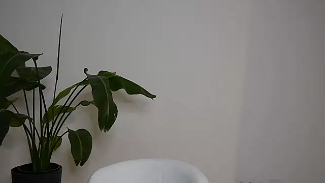 MayTease online show from 09-11-25, 07:03