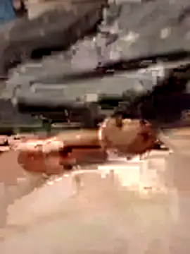 Anonimek942 online show from 11-29-25, 11:52