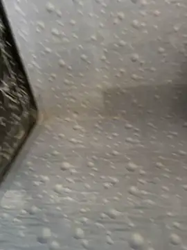 NoddingScorpion online show from 11-25-25, 08:58