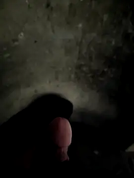 Snapshot of mhdai1208 chatting on 04-06-26, 10:00 mhdai1208 online show from 04-06-26, 10:00