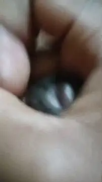 Snapshot of Vizgeboys chatting on 12-02-25, 06:03 Vizgeboys online show from 12-02-25, 06:03