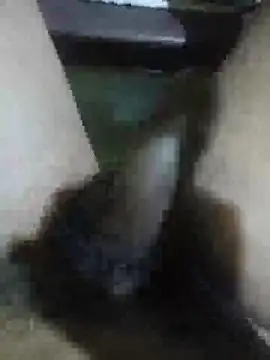 Snapshot of Vizgeboys chatting on 02-28-26, 09:43 Vizgeboys online show from 02-28-26, 09:43