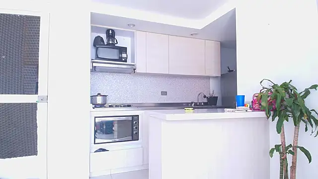 Something pork4 online show from 11-30-25, 08:46