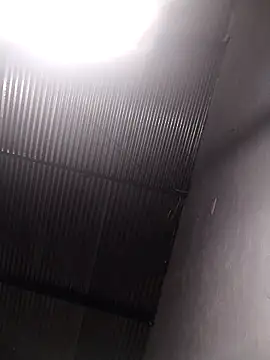 lucerocutte online show from 10-12-25, 06:01